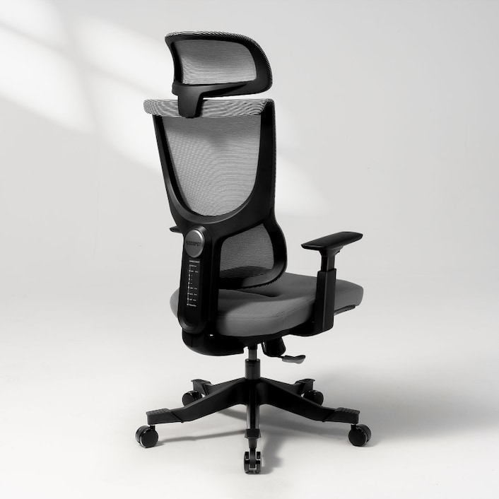 Flexispot ergonomic office shop chair